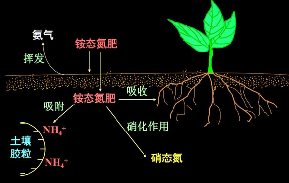 土壤氮磷鉀檢測方法